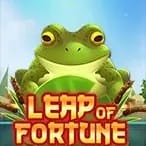Leap of Fortune game thumbnail